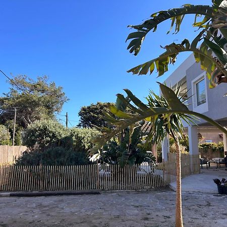 Bas De Villa - 300M Plage De La Capte - 2 Hebergements Disponibles 耶尔 外观 照片